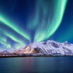 Aurora Borealis, Lofoten islands, Norway. Northern light, mountains and ocean.